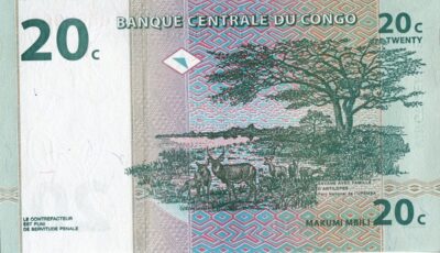 REPUBLICA DEMOCRATICA DEL CONGO 20 CENTIMES 1997 PICK 83 S/C - Imagen 2